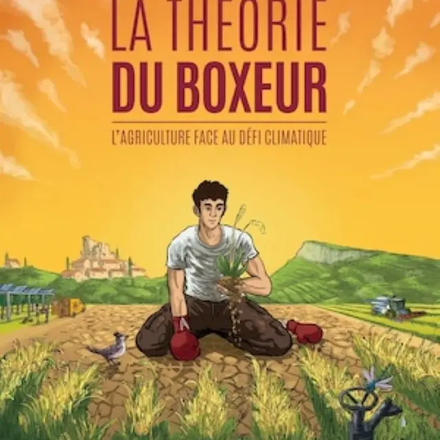 théorie boxeur