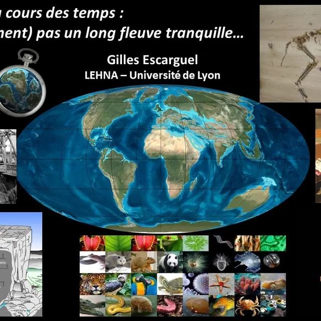 thumbnail_Diapo présentation conférence Escarguel