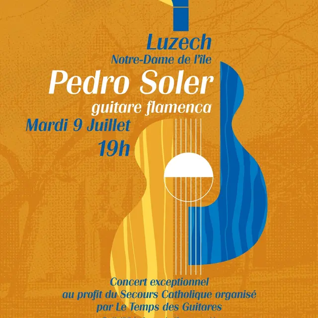 thumbnail_concert 9 juillet ND ile
