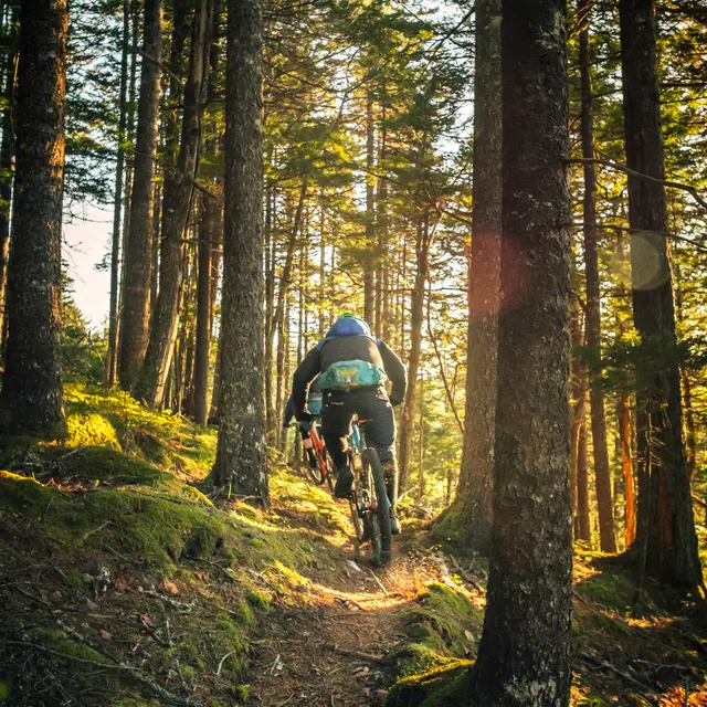 VTT