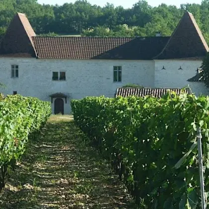 Château Tour de Miraval