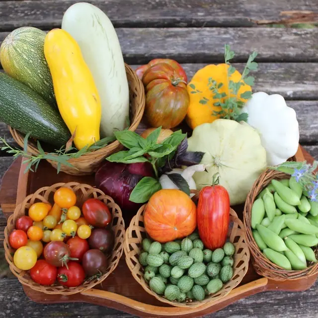 repas Cultures des Demains