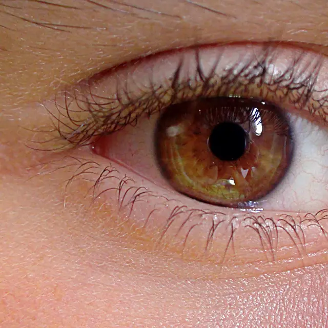 uroburos-eye-419646