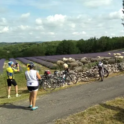 46km cyclo des lavandes