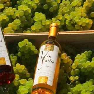 vin_paille-640x320