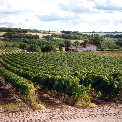 vindemontcuq3