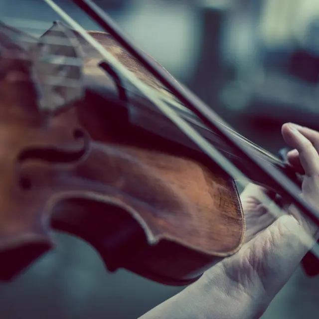 violin-374096_1280