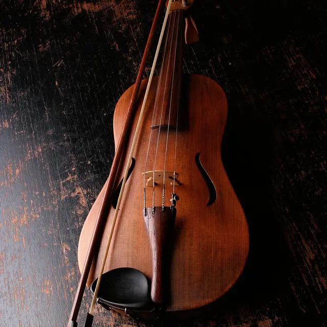 violin-924349_1280