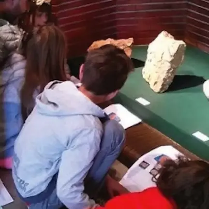 visite enfant dino et les fossiles