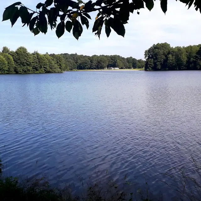 vue-du-lac-de-coiroux-visorando-532774