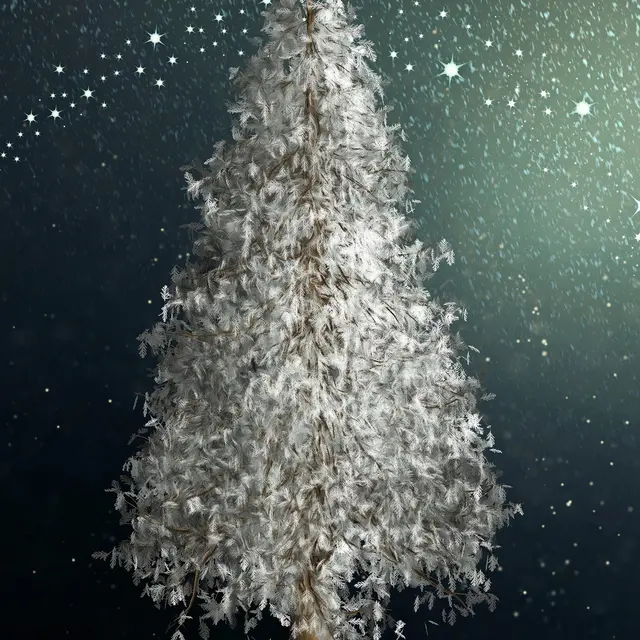 winter-wonderland-3032508_1920