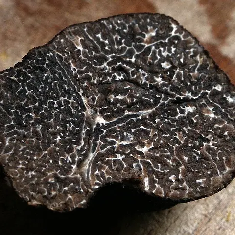 winter-truffle