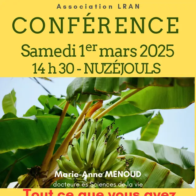 AFFICHE A4 Conférence Tout sur la Banane Mars 2025_page-0001