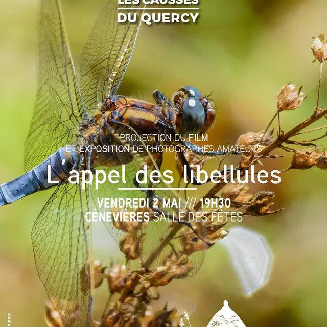 AFFICHES DES CAUSSERIES - JPEG_Page_16