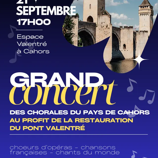 Affiche Dîner concert photo minimaliste bleu - 1