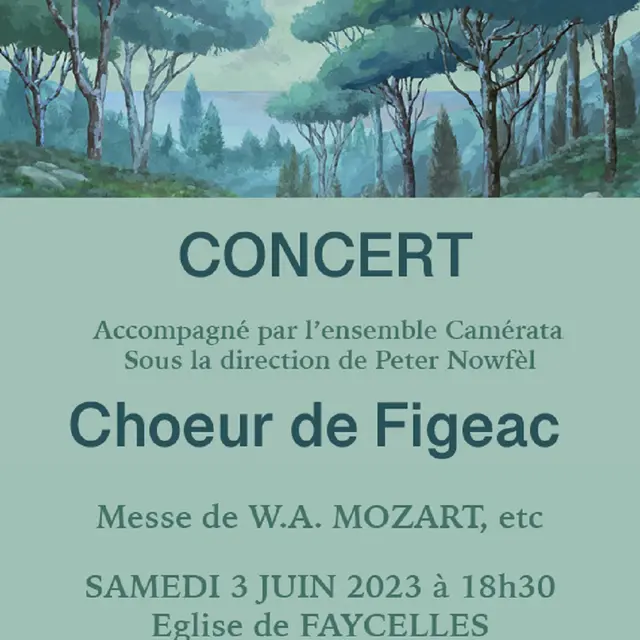 Affiche concert Faycelles pour web 3 juin 2023