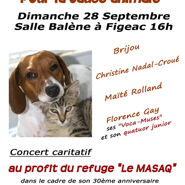 Affiche concert Figeac