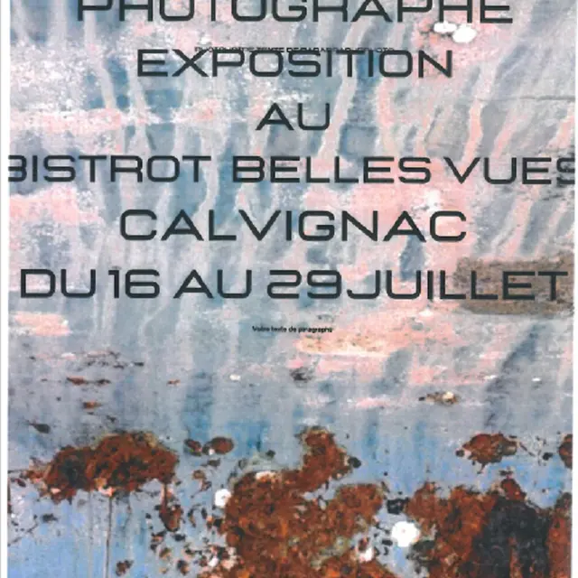 Affiche expo Robin Johnson