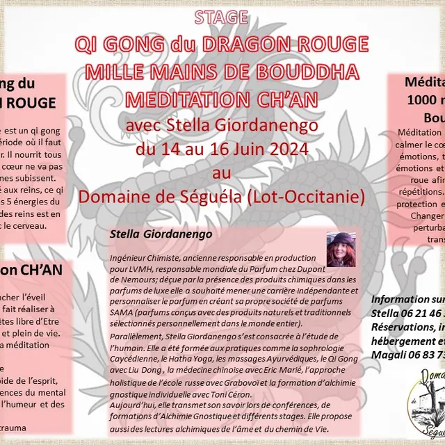 Affiche stage qi gong Dragon Rouge Juin 2024