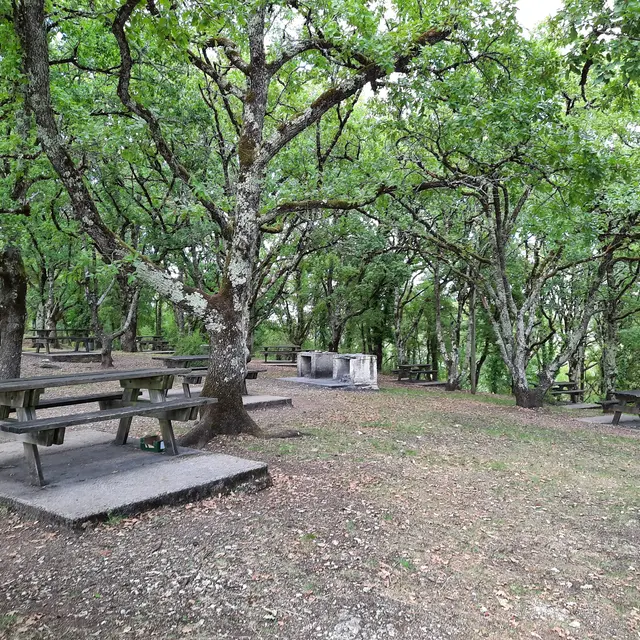Aire du Mont St Cyr