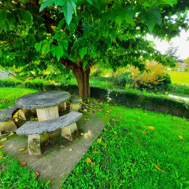 Aire de pique-nique au Lavoir de Cenevieres 1