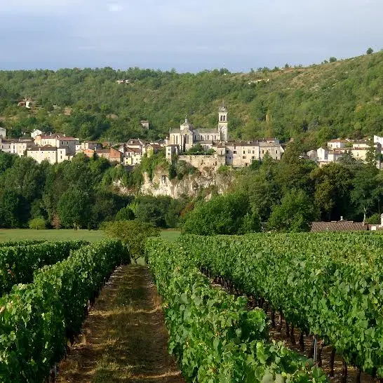 Albas depuis le vignoble