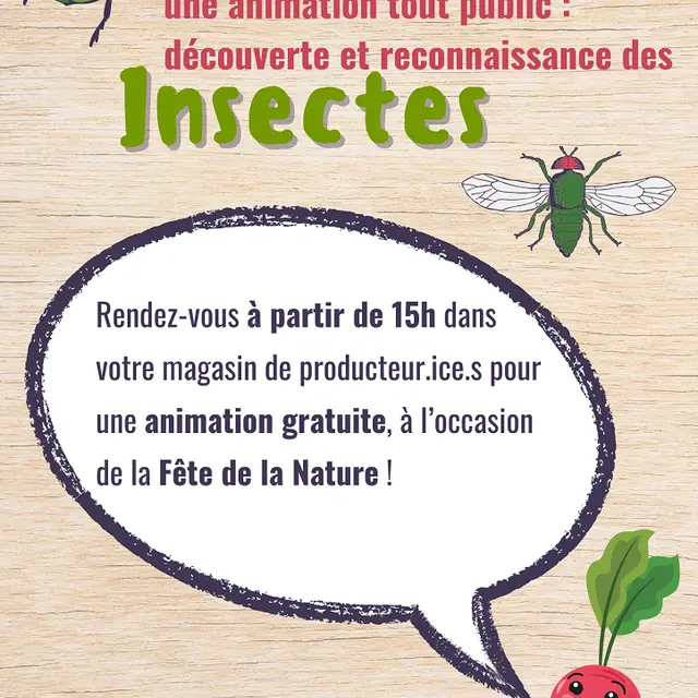 Animation INSECTE  pour la Fête de la Nature ! - 1
