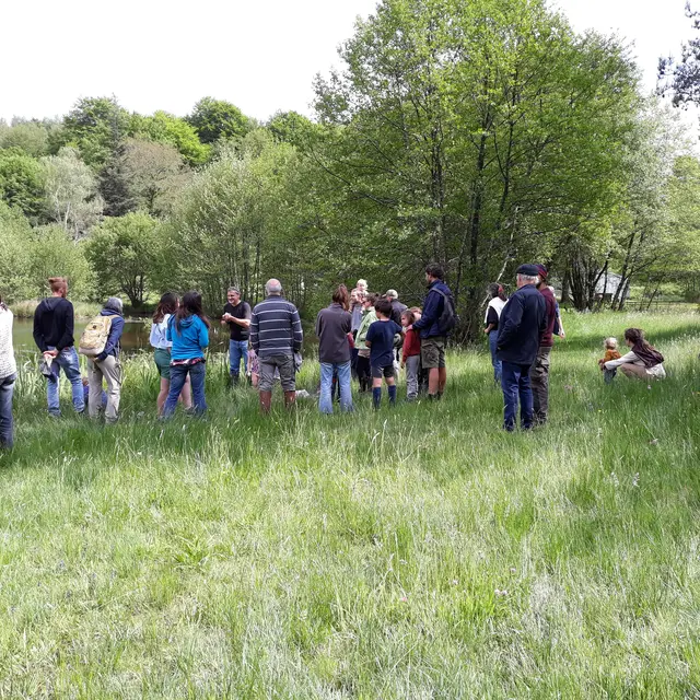 Balade-découverte de la faune et de la flore du Lac des Vergnes (46)