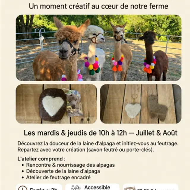 Atelier feutrage Fons 2