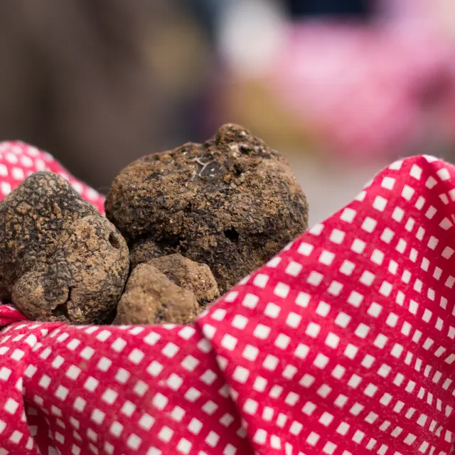 Au Marché aux truffes à Lalbenque