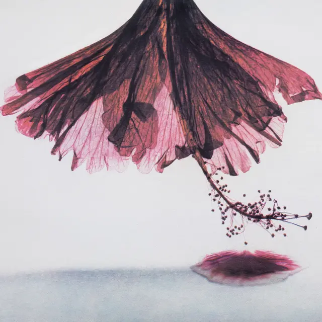 Bertrand Hugues_expo_L'impermanence_Strenquels_Galerie Louie