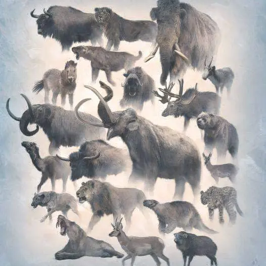 Bestiaire preěhistorique