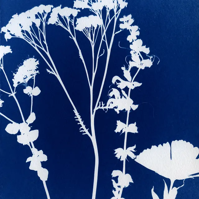 Bouquet001