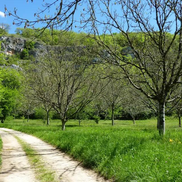 Bourgnou - Noyers sur le causse_10 © Lot Tourisme - C. Sanchez