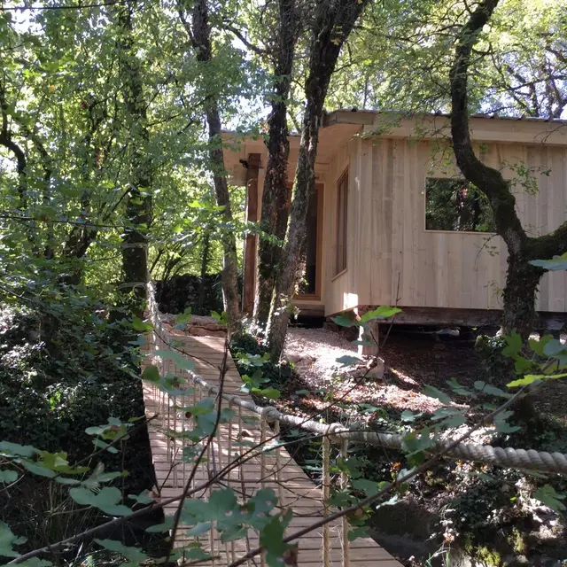 Cabane-Lodge - pont de singe