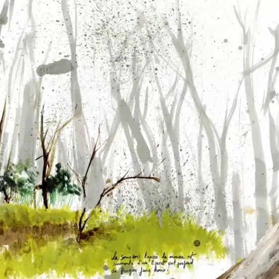 Capture Rouleaux de Paysages