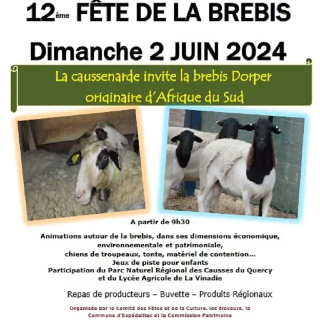 Fête de la brebis à Espédaillac