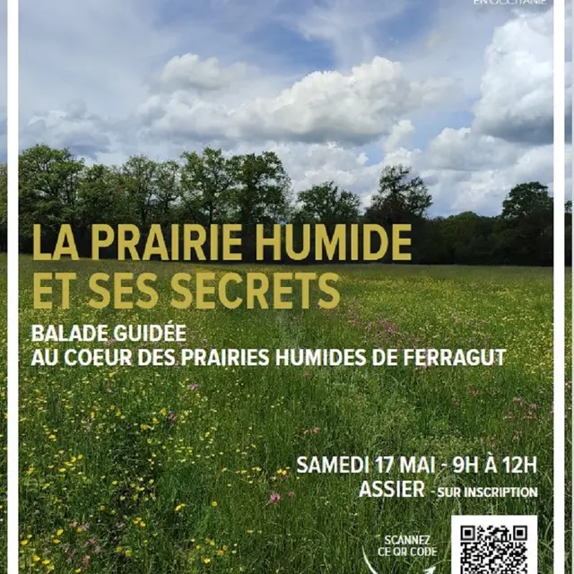 Sortie nature à Assier : la prairie humide et ses secrets
