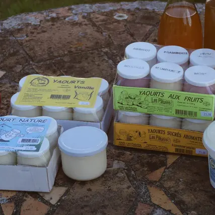 Capture d’écran 2025-12-04 190039