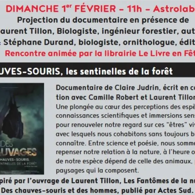 chauves-souris, les sentinelles de la forêt