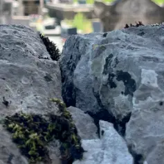 cimetière Loubressac