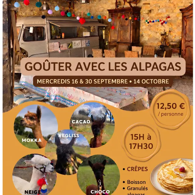 gouter avec les alpagas