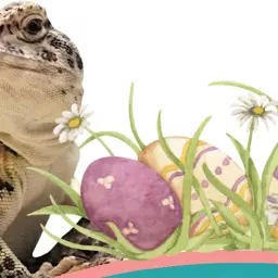 Capture d’écran du 2026-03-18 09-33-01