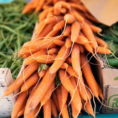 Carottes - Dan Courtice