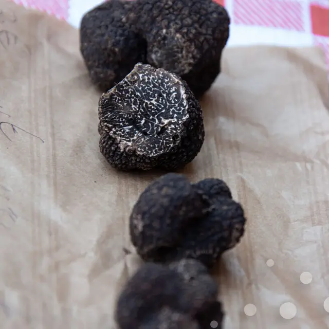 Cauvaldor-Marche-a-la-truffe-Bretenoux--MalikaTurin-4655.jpg-1200px