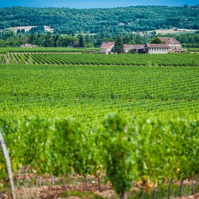 Château Famaey à Puy l'Evêque_06 © Lot Tourisme - C. ORY