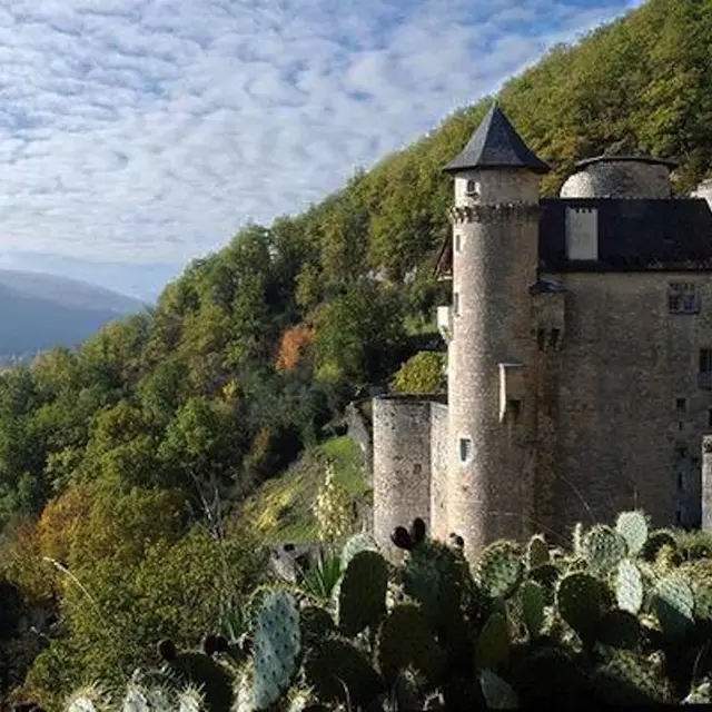 Château de Larroque Toirac 2