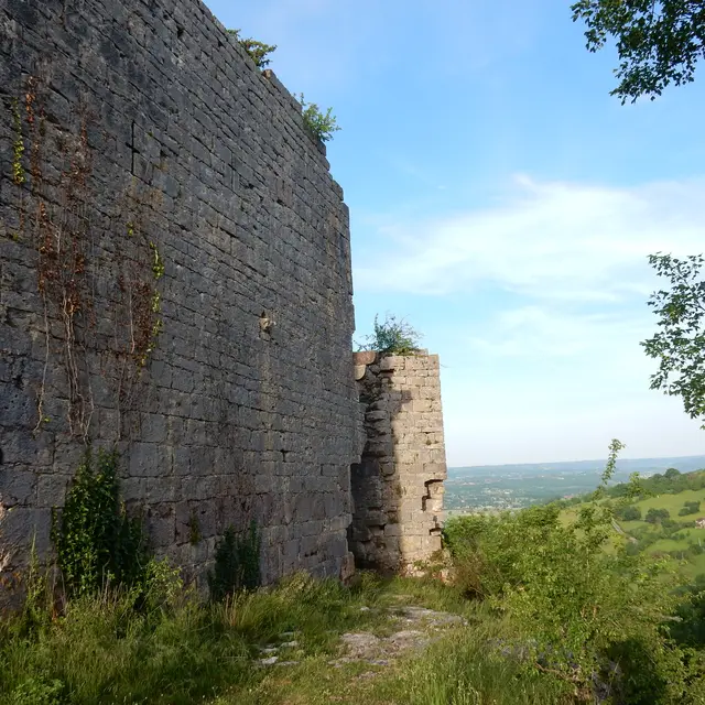Château de Taillefer