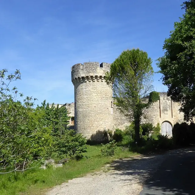 Chateau de la Coste (2) - balade 10 juillet
