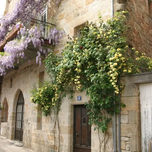 Chambres d'hôtes Le Soleilho